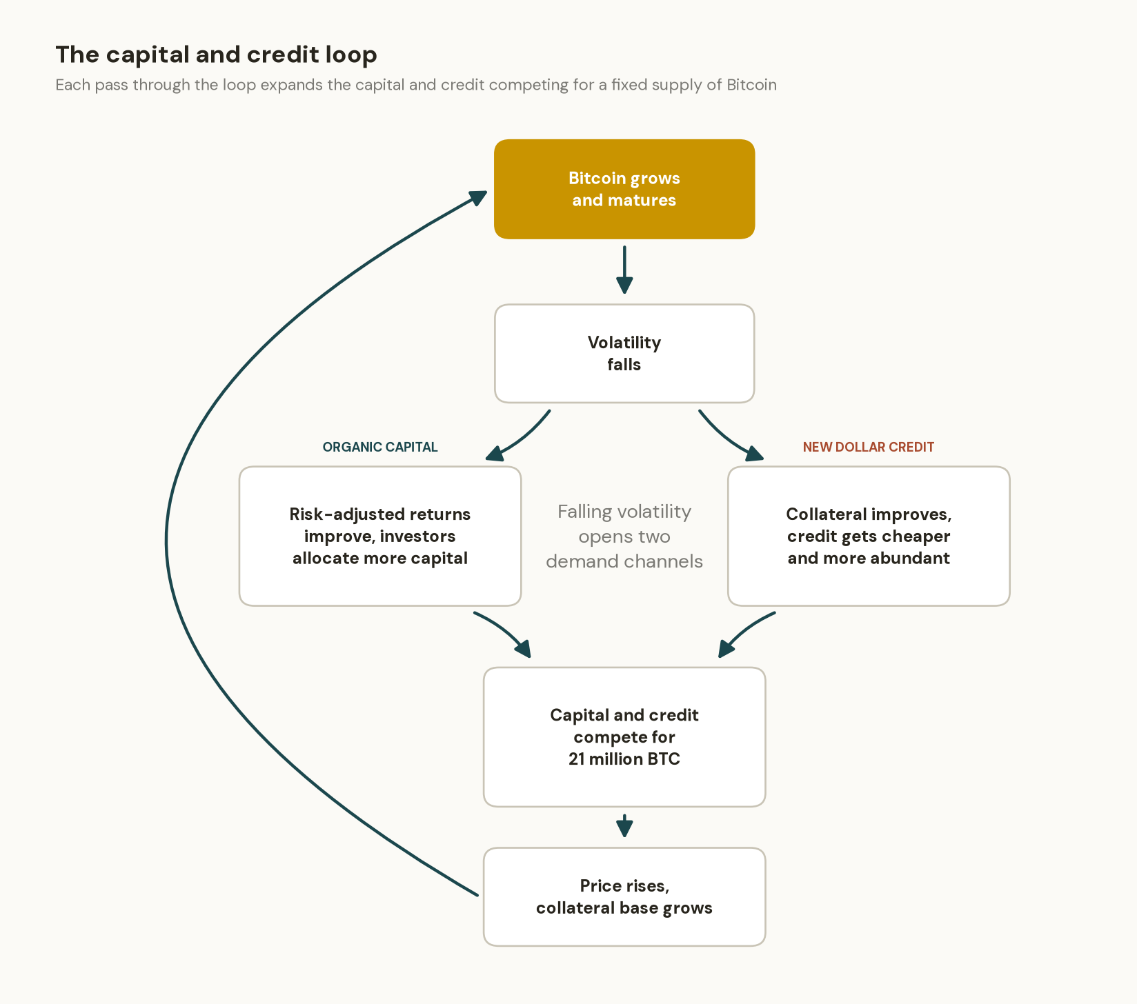 Flow diagram of the capital and credit loop: Bitcoin grows and matures, volatility falls, opening two demand channels — organic capital from improving risk-adjusted returns and new dollar credit from improving collateral — which compete for 21 million BTC, raising the price and growing the collateral base.
